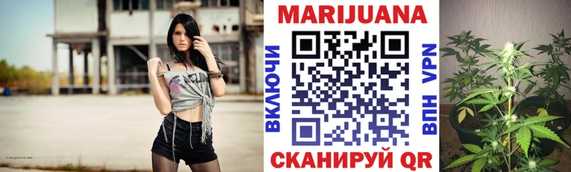 Шишки марихуана тримм  Купить где  Алушта 